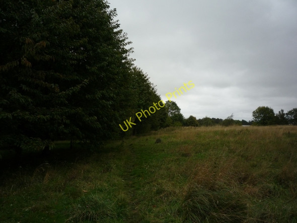 Photo 6"x4" Boundary on Siwards How Heslington c2010