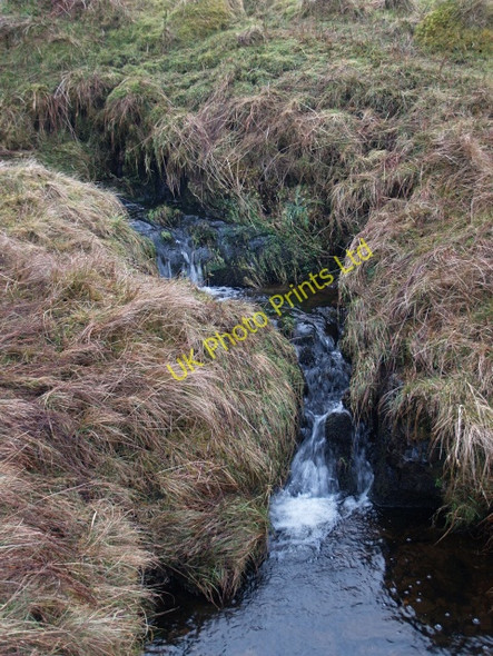 Photo 6"x4" Upper reaches of the Fingland Burn Glenbreck c2008