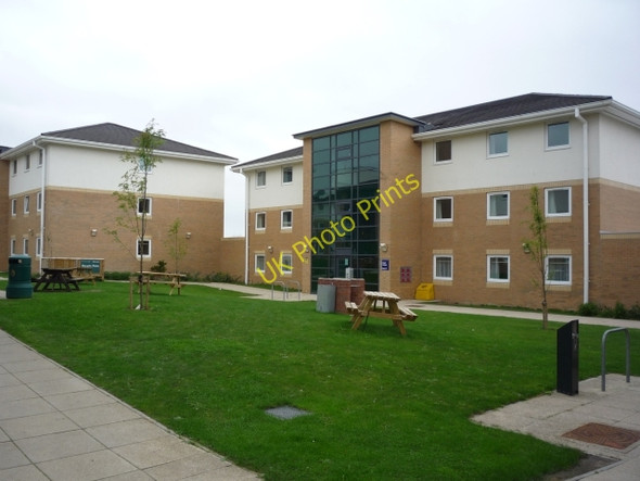 Photo 6"x4" Alcuin P block Heslington c2010