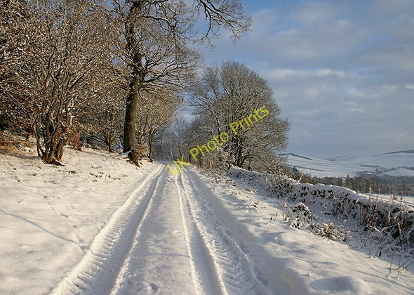 Photo 6"x4" A farm track near Torwoodlee Mains Torwoodlee Mains c2010