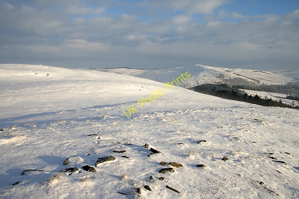 Photo 6"x4" Mains Hill Torwoodlee Mains c2010