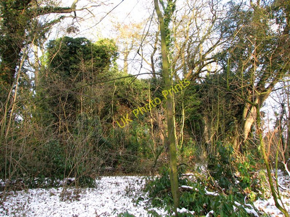 Photo 6"x4" The ruin of St Mary's church, East Somerton East Somerton c2010