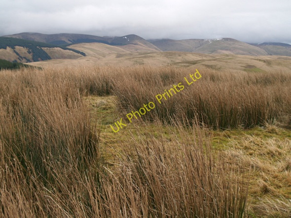 Photo 6"x4" Summit, Peat Hill Glenbreck c2008
