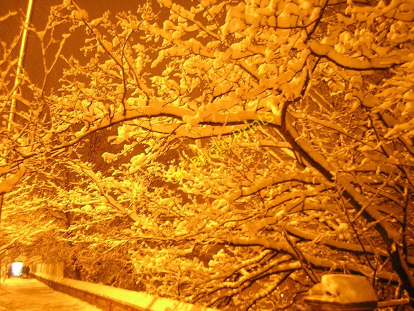 Photo 6"x4" Snowy night, Crystal Palace Parade Penge c2010