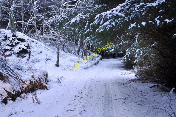 Photo 6"x4" Unclassified road near Inverfarigaig Inverfarigaig c2010