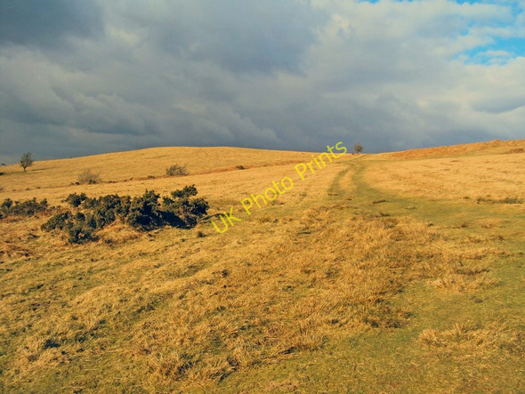 Photo 6"x4" Bridleway up Vagar Hill Snodhill c2010