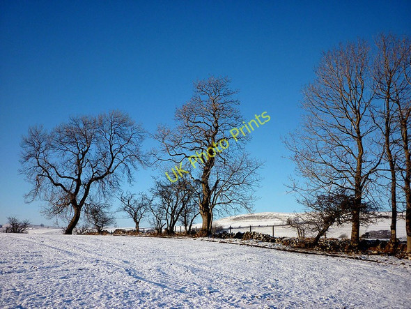 Photo 6"x4" Winter trees, Street Lane, Orton Orton\/NY6208 c2010