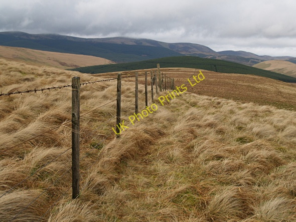 Photo 6"x4" Fence, Whitelaw Brae Glenbreck c2008