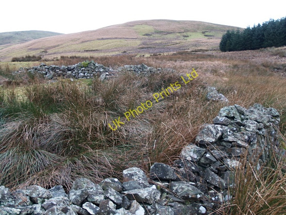 Photo 6"x4" Ruined sheepfold, Hawkshaw Burn Glenbreck c2008