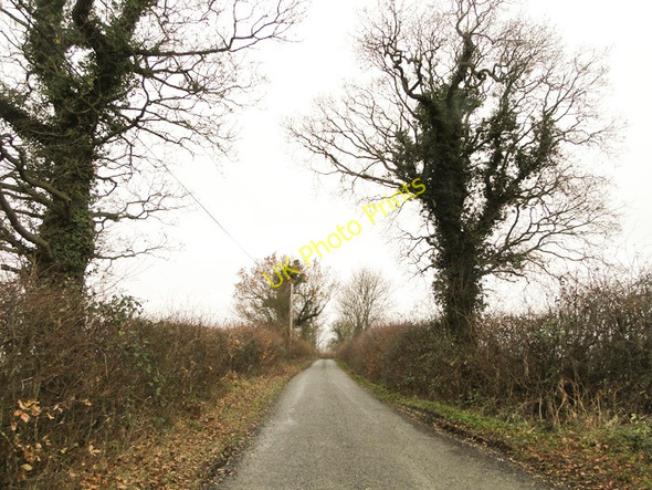 Photo 6"x4" Country Lane at Wissett, Suffolk Bramfield\/TM4073 c2010