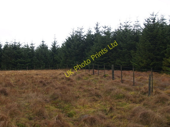 Photo 6"x4" Summit, Glengonnor Hill Glenbreck c2008