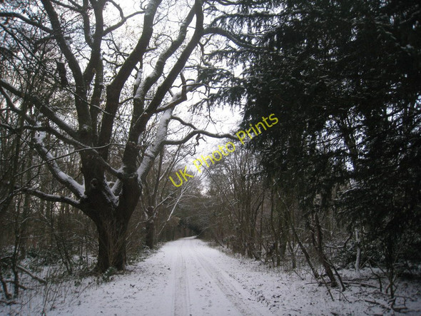 Photo 6"x4" Road to the church Moorhouse\/SK7566 c2010