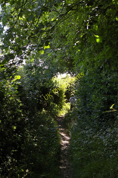 Photo 6"x4" Bogey Lane in high summer Orpington c2010