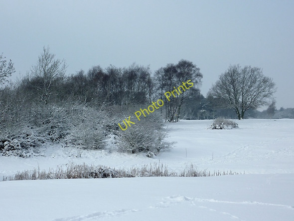 Photo 6"x4" Snow across the golf course on Penn Common, Staffordshire Sedgley c2010