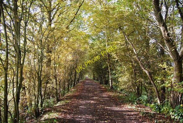 Photo 6"x4" Forest Way Gallypot Street c2010