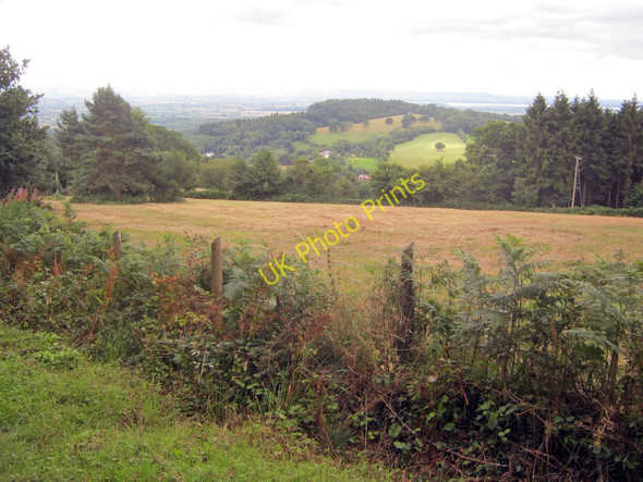 Photo 6"x4" Meadow on the south side of May Hill Dursley Cross c2010