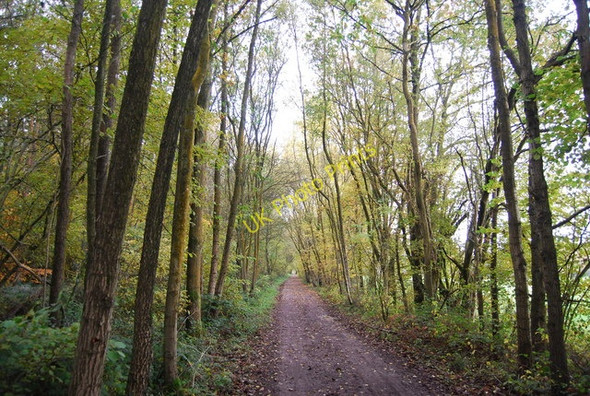 Photo 6"x4" Forest Way, Sawpit Wood Gallypot Street c2010