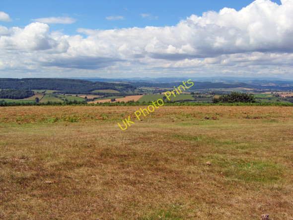 Photo 6"x4" Western flank of May Hill Dursley Cross c2010