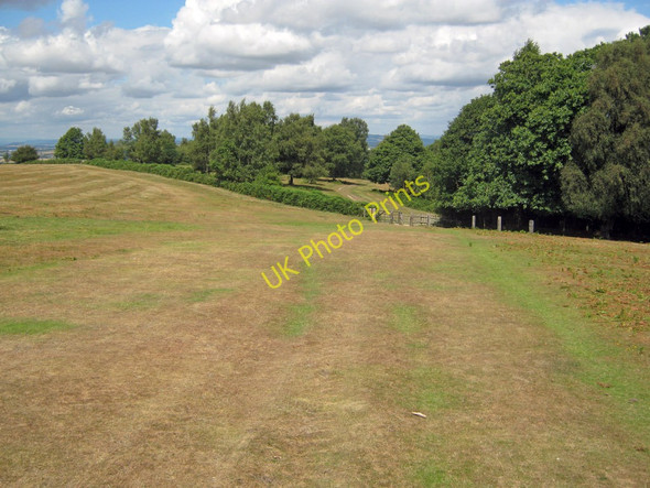 Photo 6"x4" Path leading off May Hill Dursley Cross c2010