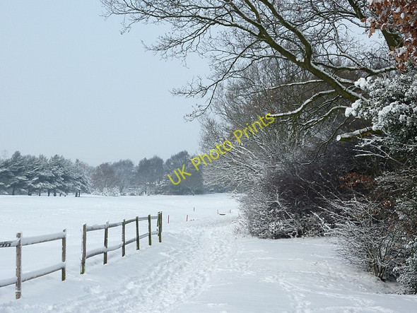 Photo 6"x4" Footpath across Penn Common, Staffordshire Sedgley c2010