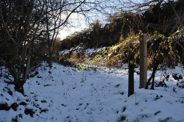 Photo 6"x4" A footpath between East Stowford and Upcott Bittadon c2010