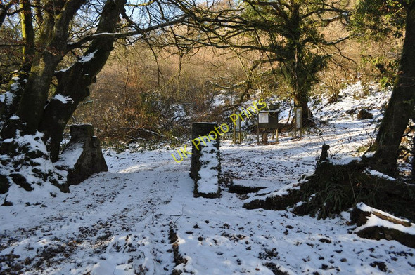 Photo 6"x4" Collacott Bridge on Colam Stream Bittadon c2010 P1