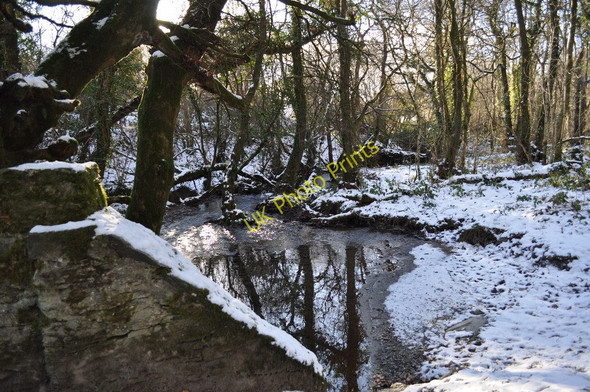 Photo 6"x4" The view downstream from Collacott Bridge on Colam Stream Bittadon c2010