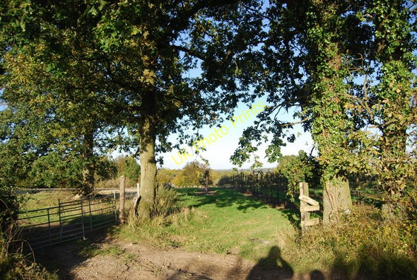 Photo 6"x4" The edge of an orchard near Clayton Farm Rye c2010