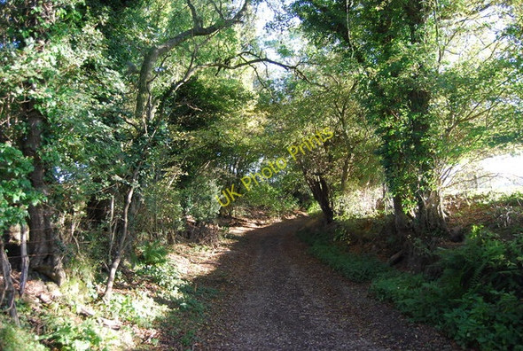 Photo 6"x4" High Weald Landscape Trail east of Clayton Farm Rye c2010