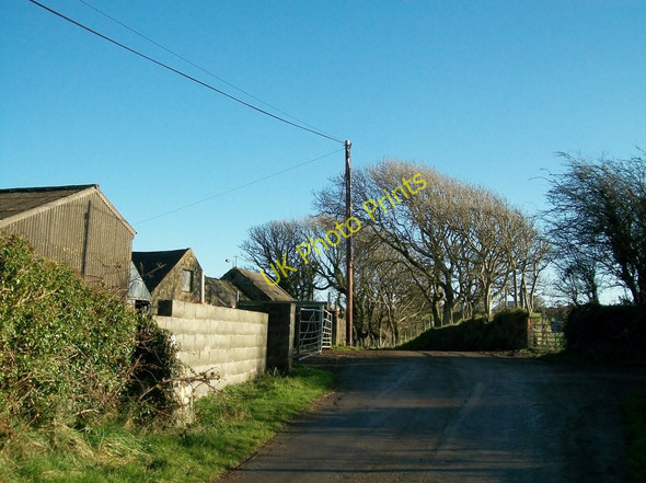 Photo 6"x4" Farm buildings at Bodgaeaf Farm Bryncroes c2010