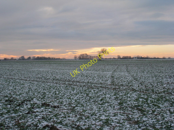 Photo 6"x4" View towards Sandhill Farm Hatfield Chase c2010