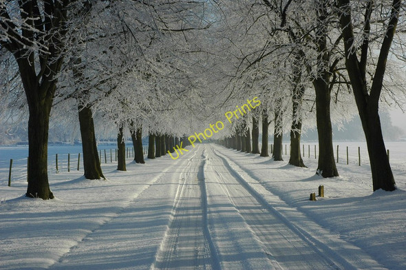 Photo 6"x4" Snow-covered driveway to Earl's Croome Court Earl's Croome c2010