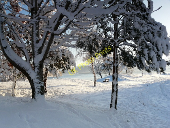 Photo 6"x4" Picnic area at Bonar Bridge Bonar Bridge c2010