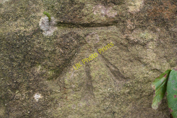 Photo 6"x4" Cut Bench Mark (close-up) Braythorn c2010