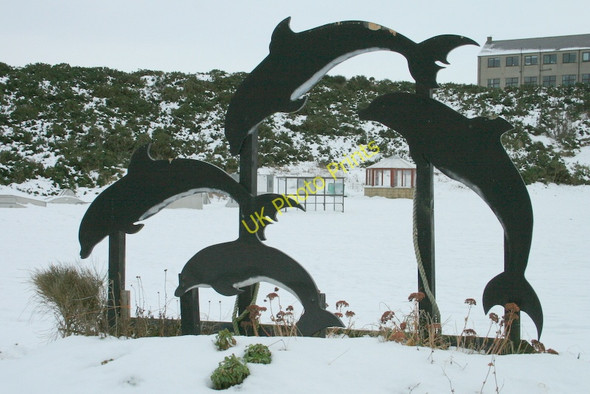 Photo 6"x4" The Dolphins of Hopeman Backlands c2010