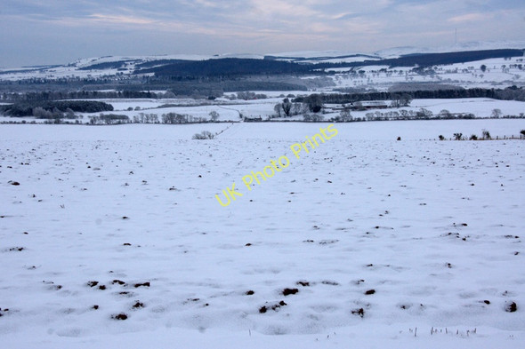 Photo 6"x4" Fields between Airlie and Westmuir Westmuir\/NO3652 c2010