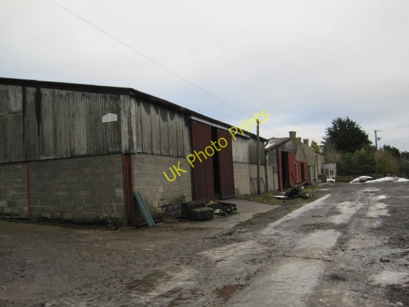 Photo 6"x4" Brandy Well Hall Farm Capheaton c2010