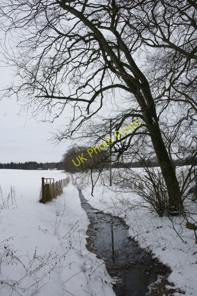 Photo 6"x4" Burn between Kirriemuir and Kinnordy Kirriemuir c2010