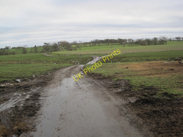 Photo 6"x4" Road towards Harnham Harnham\/NZ0780 c2010