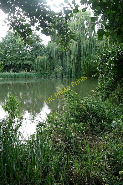 Photo 6"x4" The Vyne, upper lake Cufaude c2010
