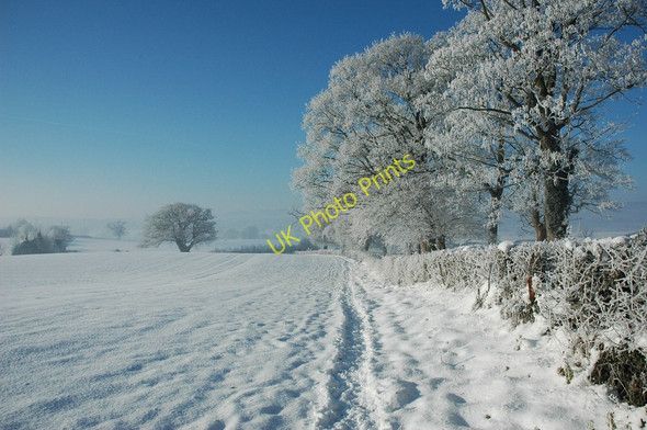 Photo 6"x4" Snowscape near Ryall Holly Green\/SO8641 c2010