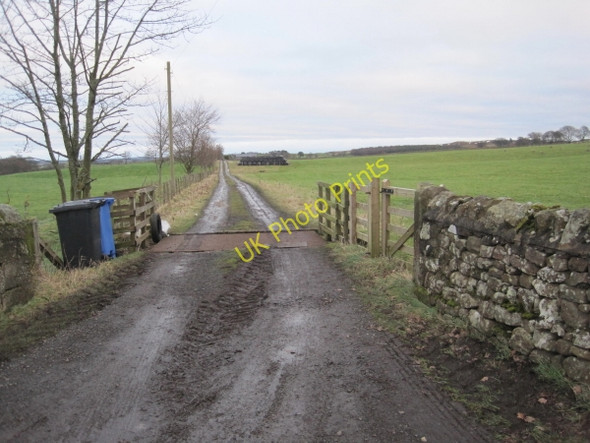 Photo 6"x4" Track towards Shaftoe Moor Capheaton c2010