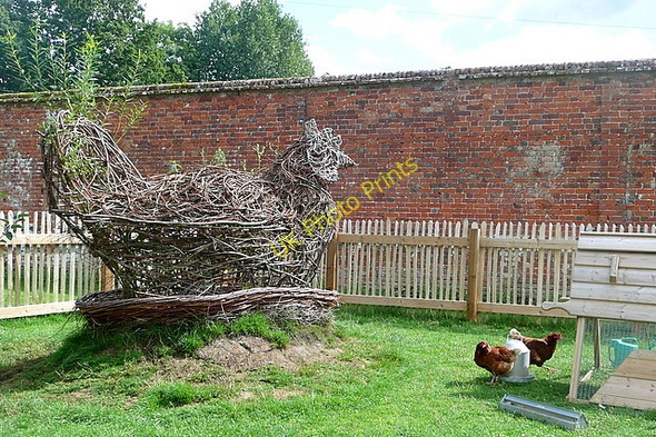 Photo 6"x4" The Vyne, chicken run Cufaude c2010