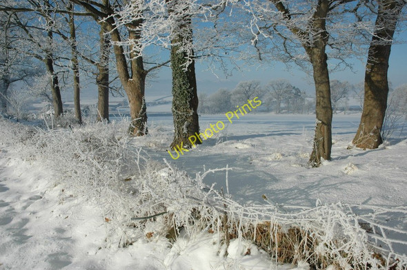 Photo 6"x4" Trees near Levant Lodge Holly Green\/SO8641 c2010