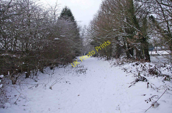 Photo 6"x4" Geopark Way by River Severn in snow Stourport-on-Severn c2010