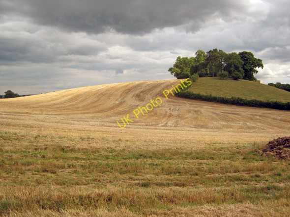 Photo 6"x4" Round Hill Huntley\/SO7219 c2010