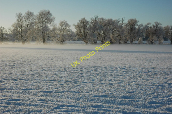 Photo 6"x4" Trees in snow covered meadows Bredon's Hardwick c2010