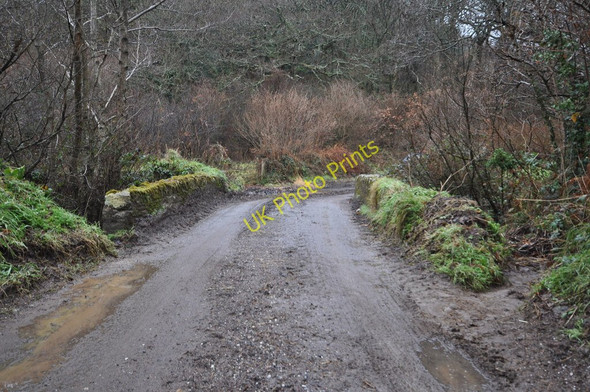 Photo 6"x4" A bridge over the river Caen at the bottom of West Down Hill Boode c2010