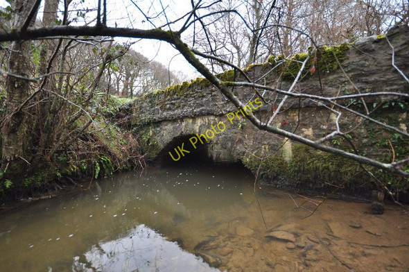 Photo 6"x4" The view from downstream of a bridge over the river Caen on West Down Hill Boode c2010