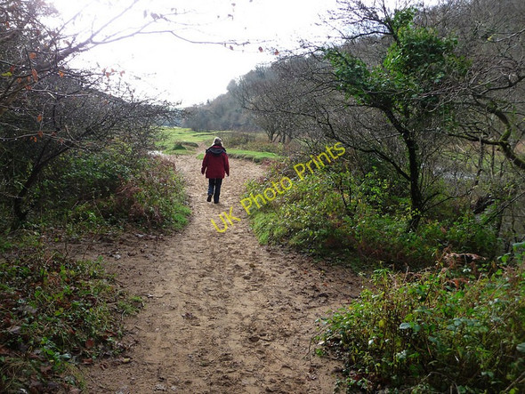 Photo 6"x4" Path to Three Cliffs Bay Lunnon c2010 P1